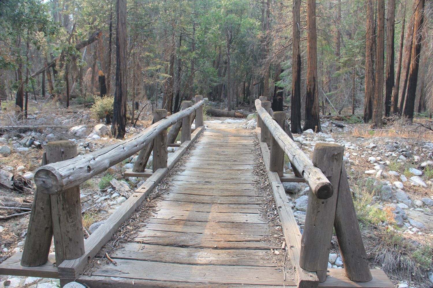 Kanawyer Loop Trail 